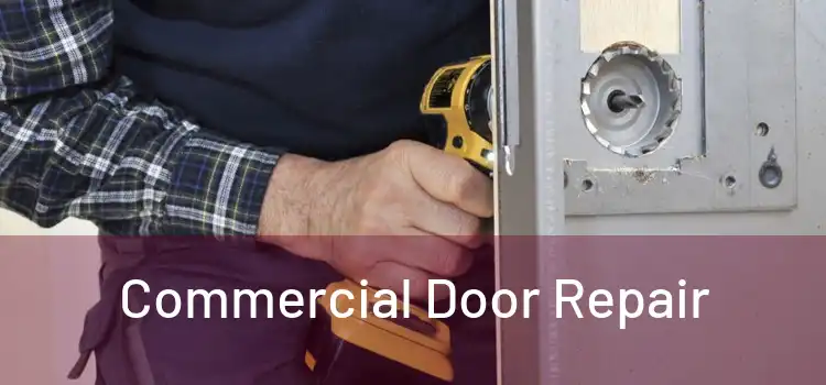  Commercial Door Repair 